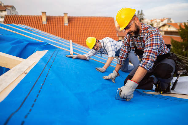 Roof Gutter Cleaning in Bunker Hill, IL